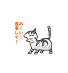 冷たい猫の言葉（個別スタンプ：7）