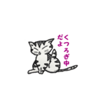 冷たい猫の言葉（個別スタンプ：8）