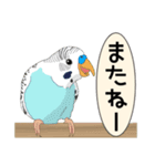 癒し生活[セキセイインコ]（個別スタンプ：3）