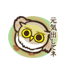 フクロウが大好き★第2弾（個別スタンプ：39）