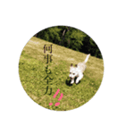 なにぬねのあ（個別スタンプ：1）
