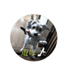 なにぬねのあ（個別スタンプ：4）