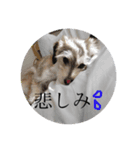 なにぬねのあ（個別スタンプ：8）