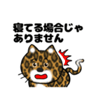 ブタさん物語4（個別スタンプ：4）