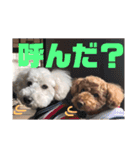 こてつ＆バニーちゃんの日常（個別スタンプ：4）