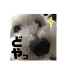 こてつ＆バニーちゃんの日常（個別スタンプ：8）