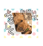 こてつ＆バニーちゃんの日常（個別スタンプ：11）