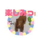 こてつ＆バニーちゃんの日常（個別スタンプ：15）