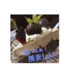 身体に優しいスイーツのスタンプ（個別スタンプ：12）