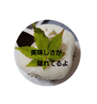 身体に優しいスイーツのスタンプ（個別スタンプ：13）