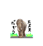 zooスタンプ（個別スタンプ：2）
