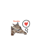 zooスタンプ（個別スタンプ：5）