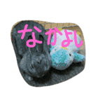 可愛すぎるうさぎさん(パート4)（個別スタンプ：1）