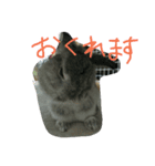 可愛すぎるうさぎさん(パート4)（個別スタンプ：4）