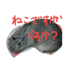 可愛すぎるうさぎさん(パート4)（個別スタンプ：12）