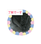 可愛すぎるうさぎさん(パート4)（個別スタンプ：18）