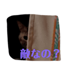 おちさ千咲 ①（個別スタンプ：5）