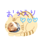 我が家のチビちゃん♡2（個別スタンプ：10）