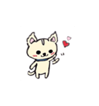 チワワのモコくん（個別スタンプ：1）