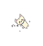 チワワのモコくん（個別スタンプ：4）