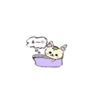 チワワのモコくん（個別スタンプ：9）