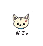 チワワのモコくん（個別スタンプ：14）
