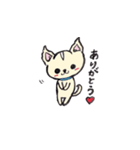 チワワのモコくん（個別スタンプ：17）