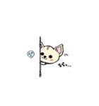 チワワのモコくん（個別スタンプ：18）