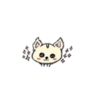 チワワのモコくん（個別スタンプ：20）