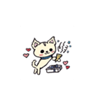 チワワのモコくん（個別スタンプ：25）