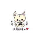 チワワのモコくん（個別スタンプ：30）