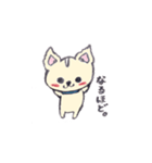 チワワのモコくん（個別スタンプ：39）
