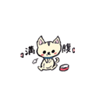 チワワのモコくん（個別スタンプ：40）