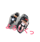 いぶあおスタンプ（個別スタンプ：2）