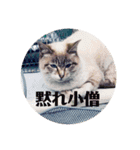 寝仔スタ（個別スタンプ：8）