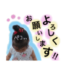 こゆぴー スタンプ2（個別スタンプ：19）