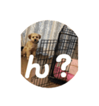 おはスタンプ__（個別スタンプ：4）