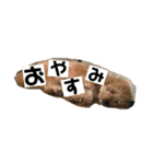 おはスタンプ__（個別スタンプ：5）