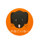 黒ラブ犬「ちゃま」広島弁version（個別スタンプ：28）
