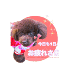 あふましゅ（個別スタンプ：3）