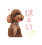 あふましゅ（個別スタンプ：6）