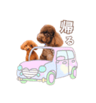 あふましゅ（個別スタンプ：10）