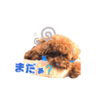 あふましゅ（個別スタンプ：12）