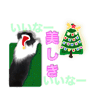 生意気ボーダーコリー犬武智麻呂の年末☆（個別スタンプ：7）