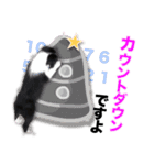 生意気ボーダーコリー犬武智麻呂の年末☆（個別スタンプ：12）