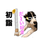 生意気ボーダーコリー犬武智麻呂の年末☆（個別スタンプ：20）