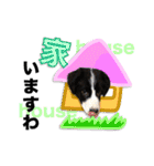 生意気ボーダーコリー犬武智麻呂の年末☆（個別スタンプ：23）