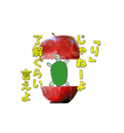 ウサギとカメの挨拶スタンプ（個別スタンプ：31）