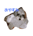 天真爛漫な天心くん（個別スタンプ：4）