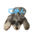 天真爛漫な天心くん（個別スタンプ：19）